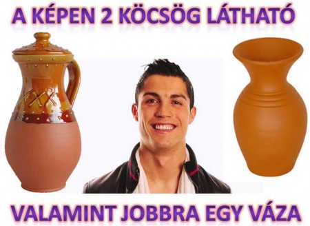 A képen 2 köcsög található...
